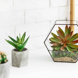 Mini Florarium